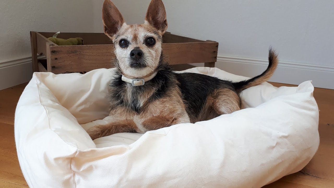 DIY Hundekörbchen selber nähen Hundebett Hundekorb selber machen