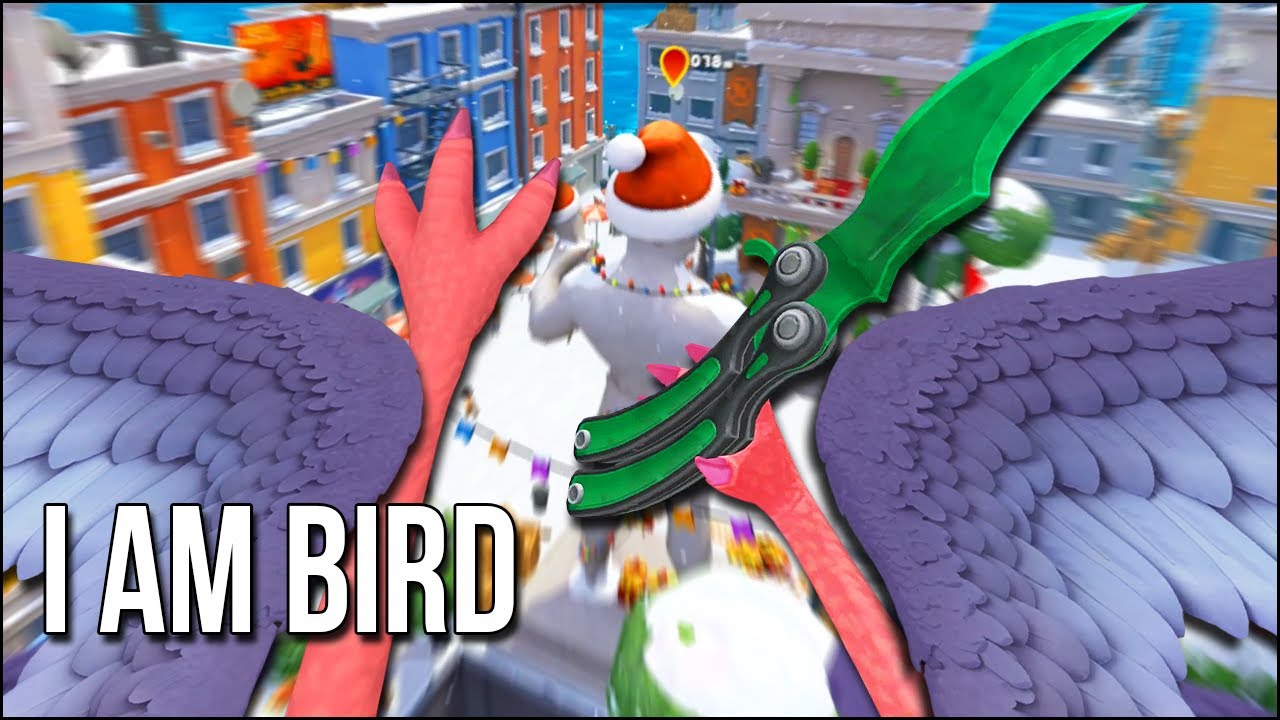I Am Bird | The Amount Of Chaos 1 Pigeon Can Create Is OUTRAGEOUS!