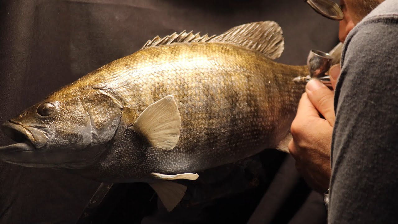 Fish Taxidermy: Smallmouth Bass Painting Time Lapse