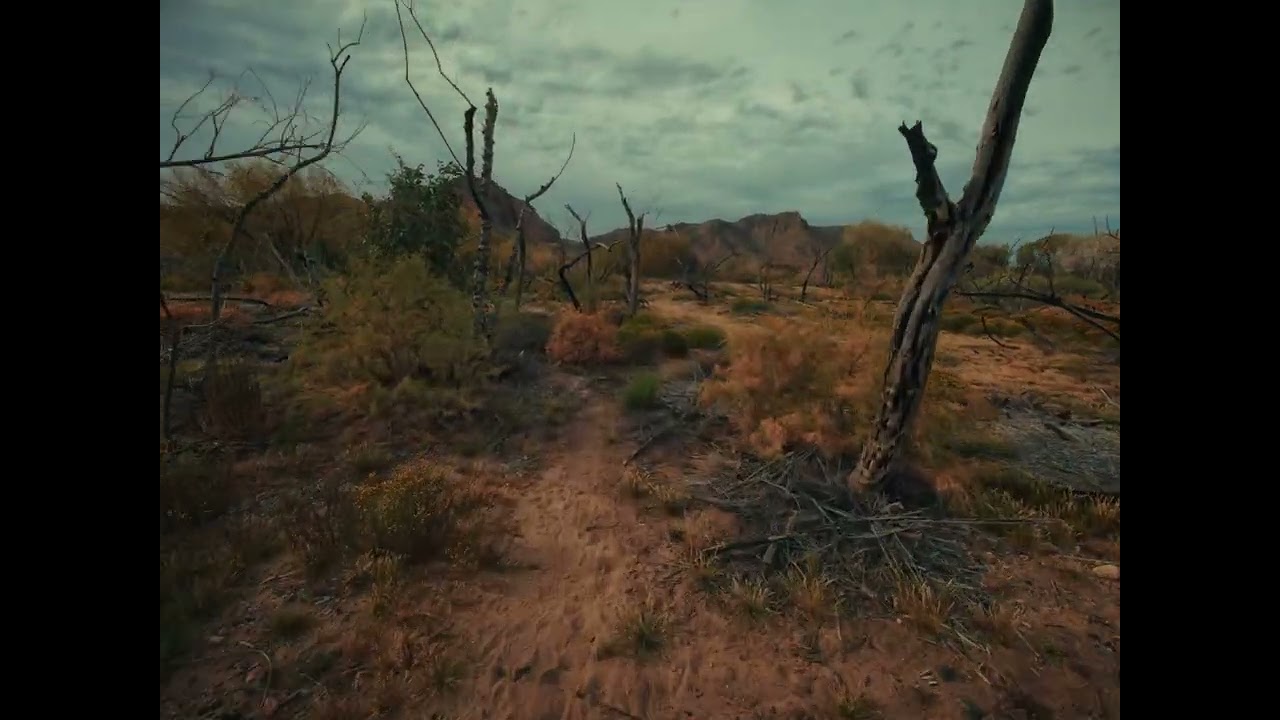 walking to the flow of water