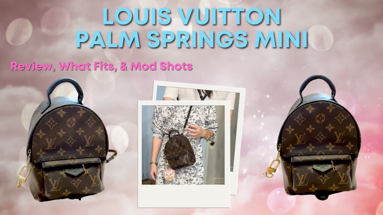 Louis Vuitton Palm Springs Mini Backpack Review | Mod Shots & What Fits!