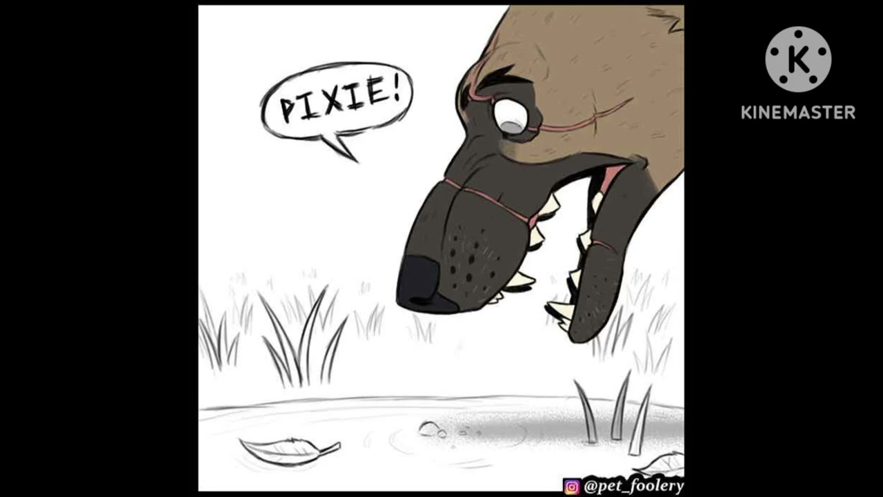 Some comics from pixie and Brutus 😍 #comics #animals #animation 