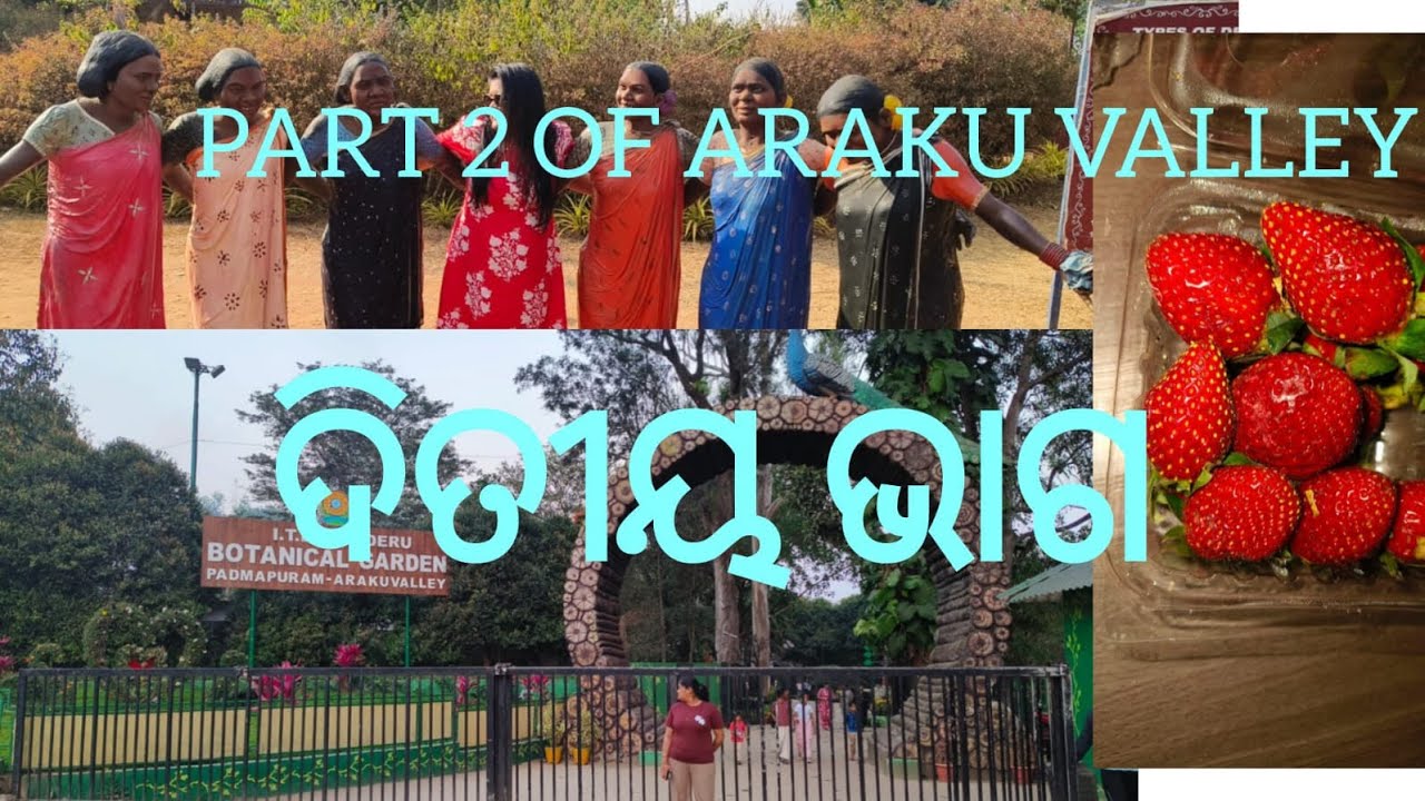 ଅରକୁରେ ଏସବୁ ଅଛି 😲
