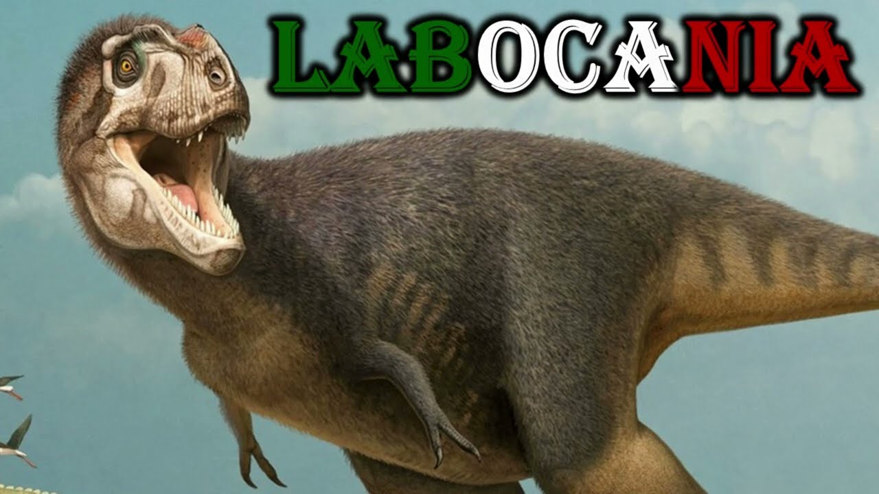 labocania