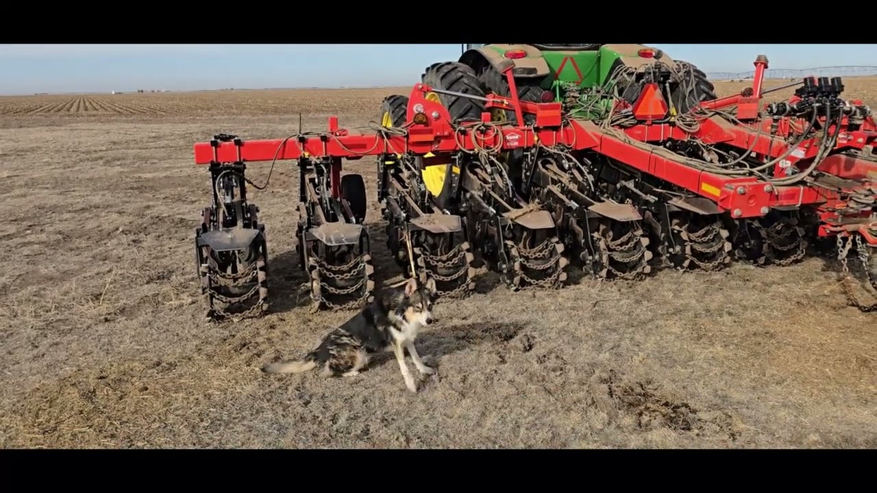 Strip Till 8370r 2 11 25