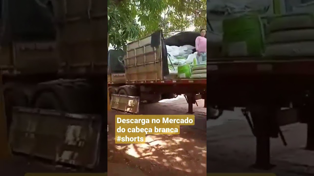 descarga de milho e quirela #shorts