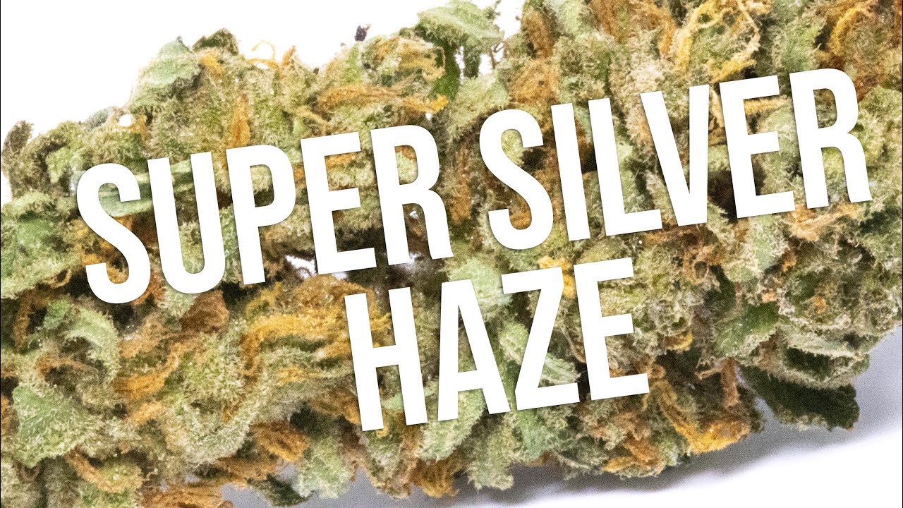 Обзор Super Silver Haze!