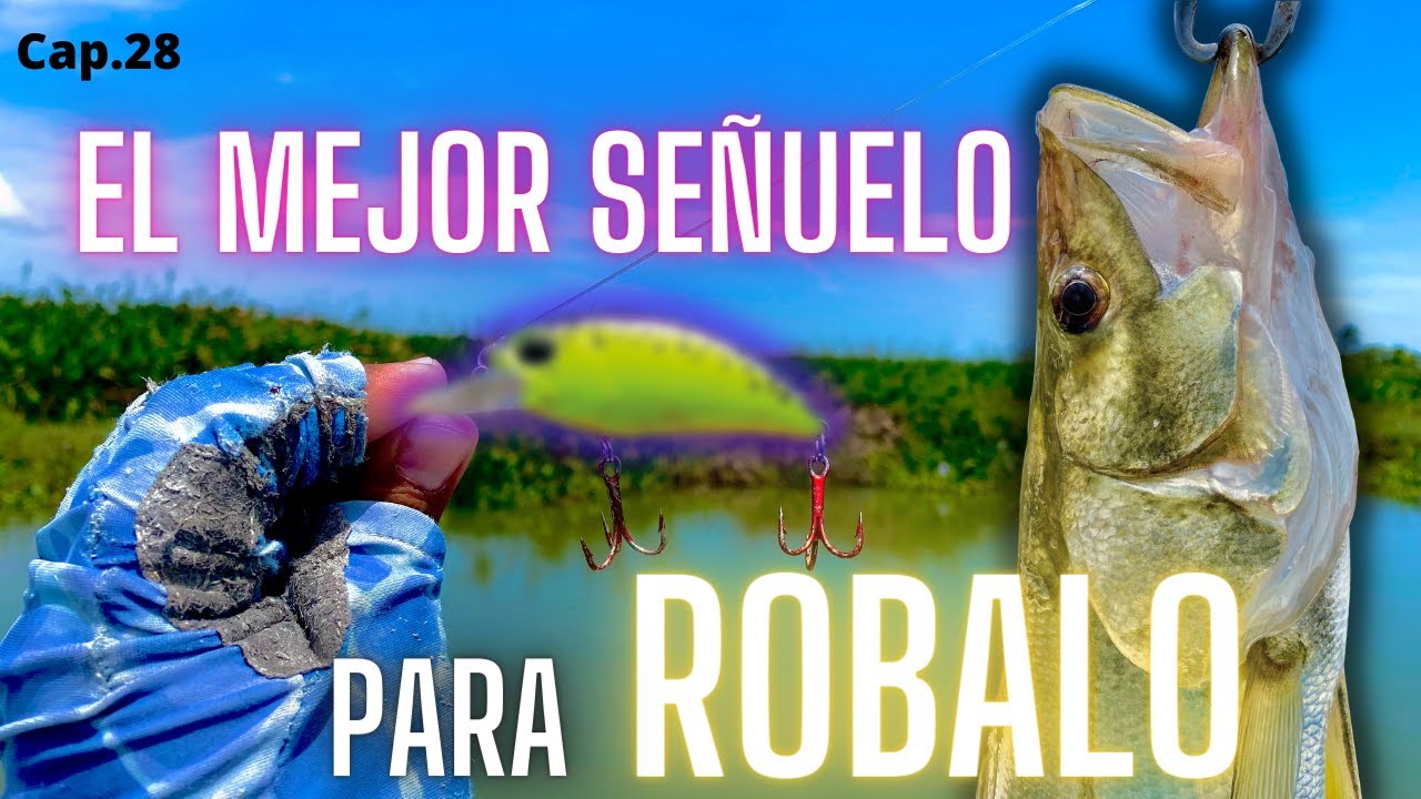 El mejor señuelo para Robalo // Pescando en Laguna del Viento // Pescador de aventuras team