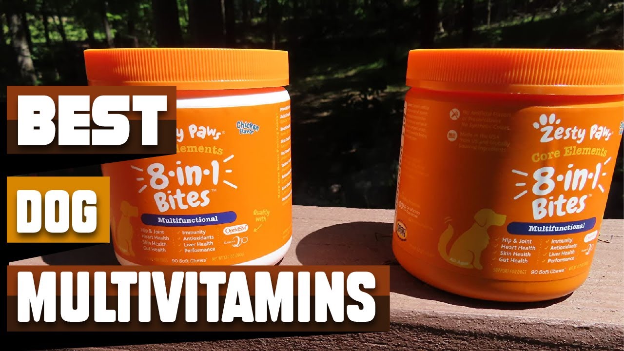 Best Dog Multivitamins In 2026 - Top 10 Dog Multivitamins Review