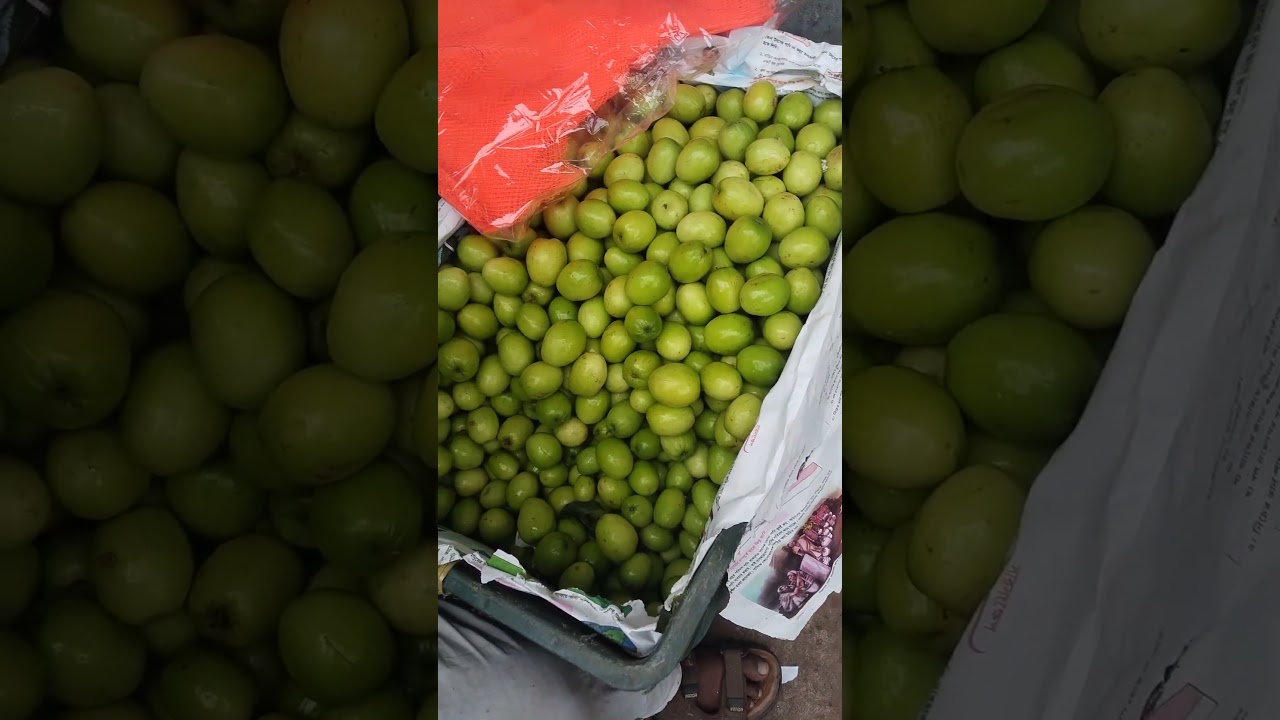 মিষ্টি বরই 🍒 | গাছের টাটকা ফল 😍  Sweet Jujube 🍒 | Nature Fruit 