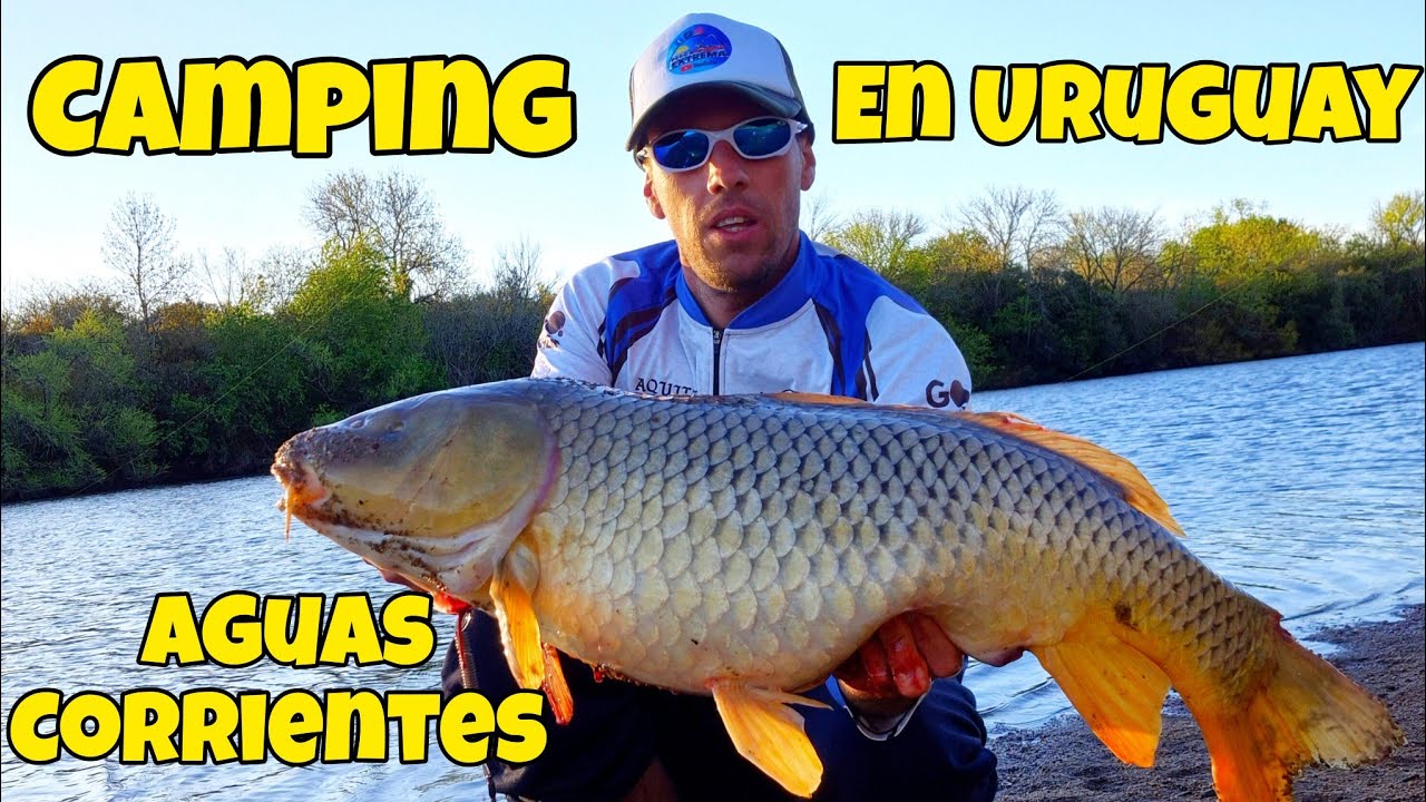 CAMPING en URUGUAY, AGUAS CORRIENTES, ACAMPAR Y PESCAR