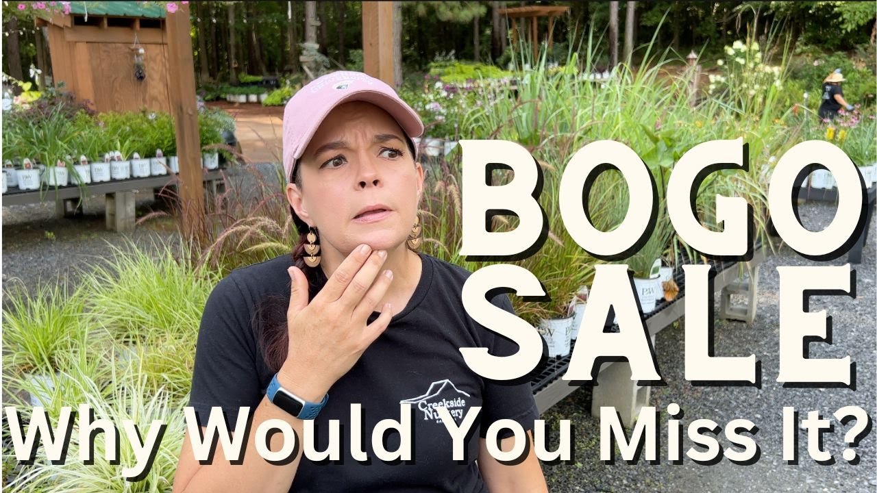 Fantastic BOGO Nursery Sale | Gardening with Creekside