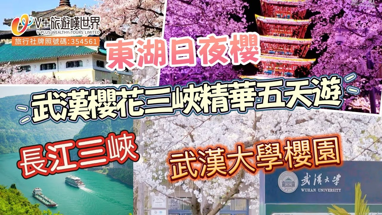 武漢櫻花三峽精華五天遊 | 武漢大學櫻園 | 長江三峽 | 東湖日夜櫻