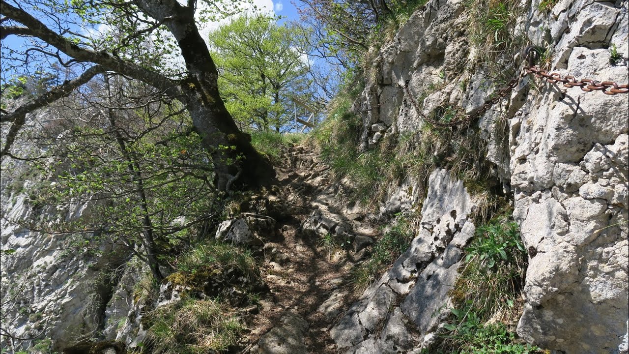 Grenchen - Bettlachstock - Untergrenchenberg  ///   11. Mai 2024