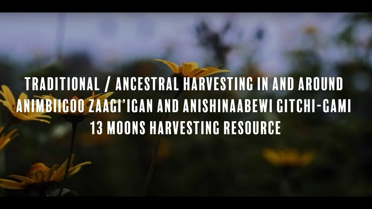 Traditional Harvesting 13 Moons Introduction & Teachings