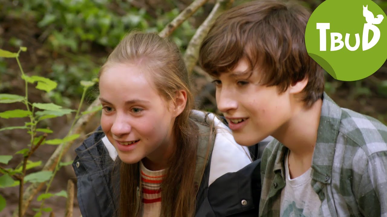 Lieber Biber (Folge 89) | Tiere bis unters Dach
