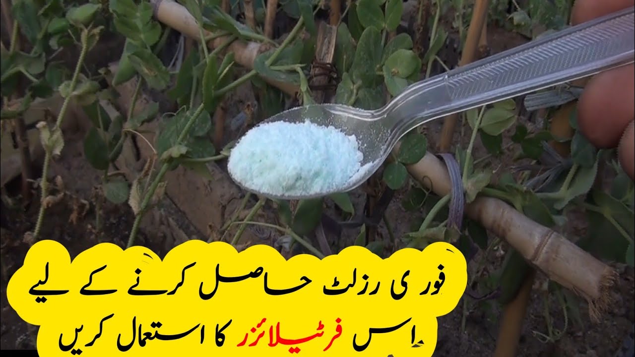 How to use NPK 20 20 20 liquid fertilizer