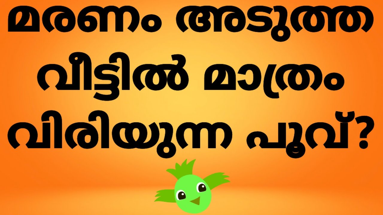 Gk/General Knowledge /psc/ പൊതുവിജ്ഞാന ചോദ്യങ്ങൾ 