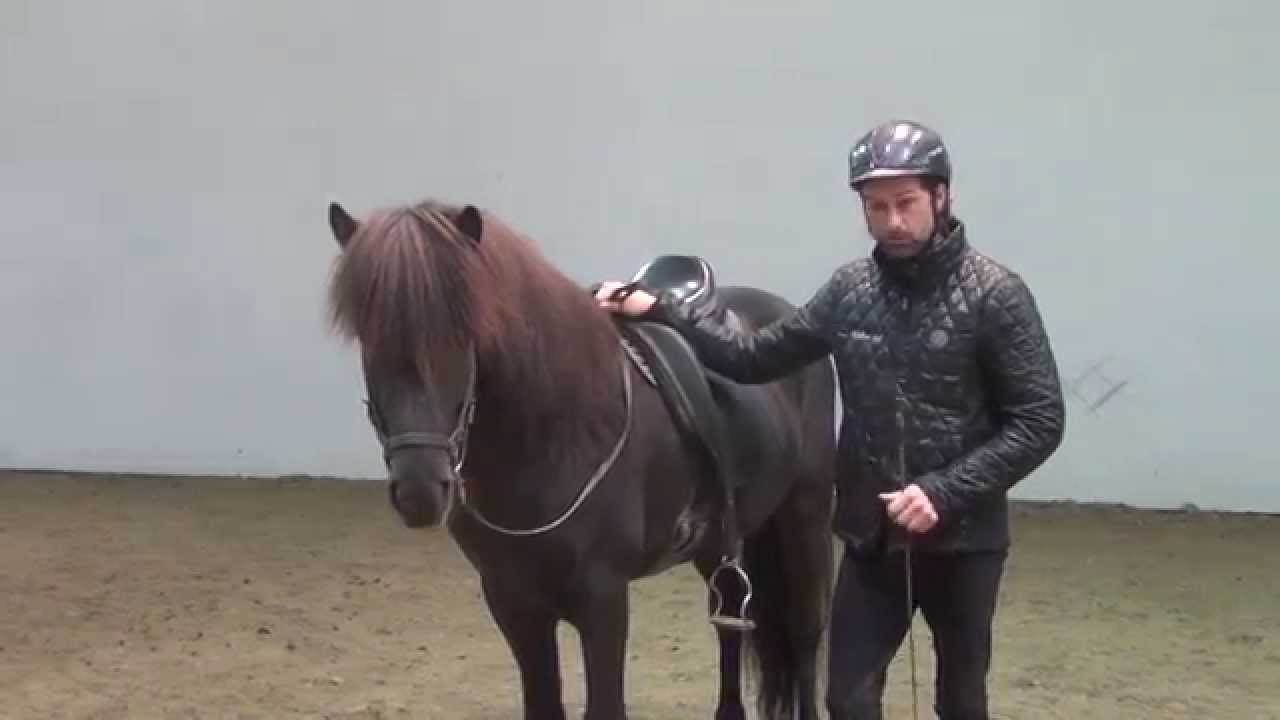 S01E03 What about the outside rein?