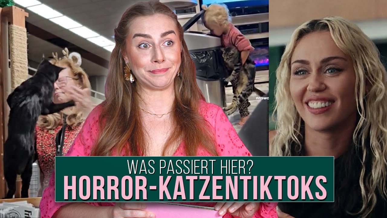 Wenn Katzen Tiktoks zu weit gehen 😠😡 -  EP 1 Amelys Katzensprechstunde