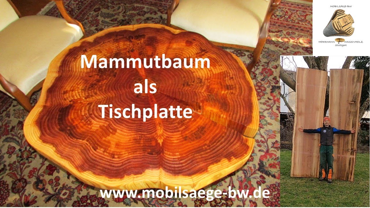 Mammutbaumholz als Tischplatte
