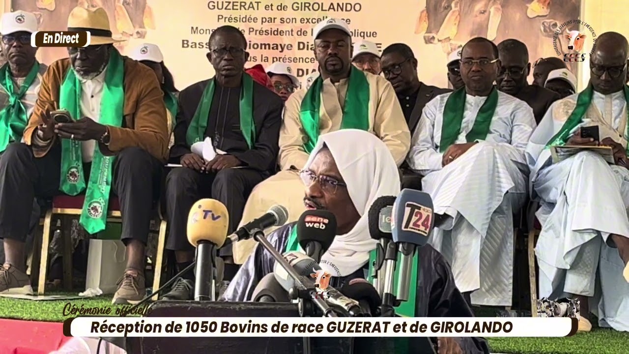 Thierno S Mody à Mabouba Diagne “ Ya kham élevage, Lepp lognou diguone Guiss naneko, yagnou respecté