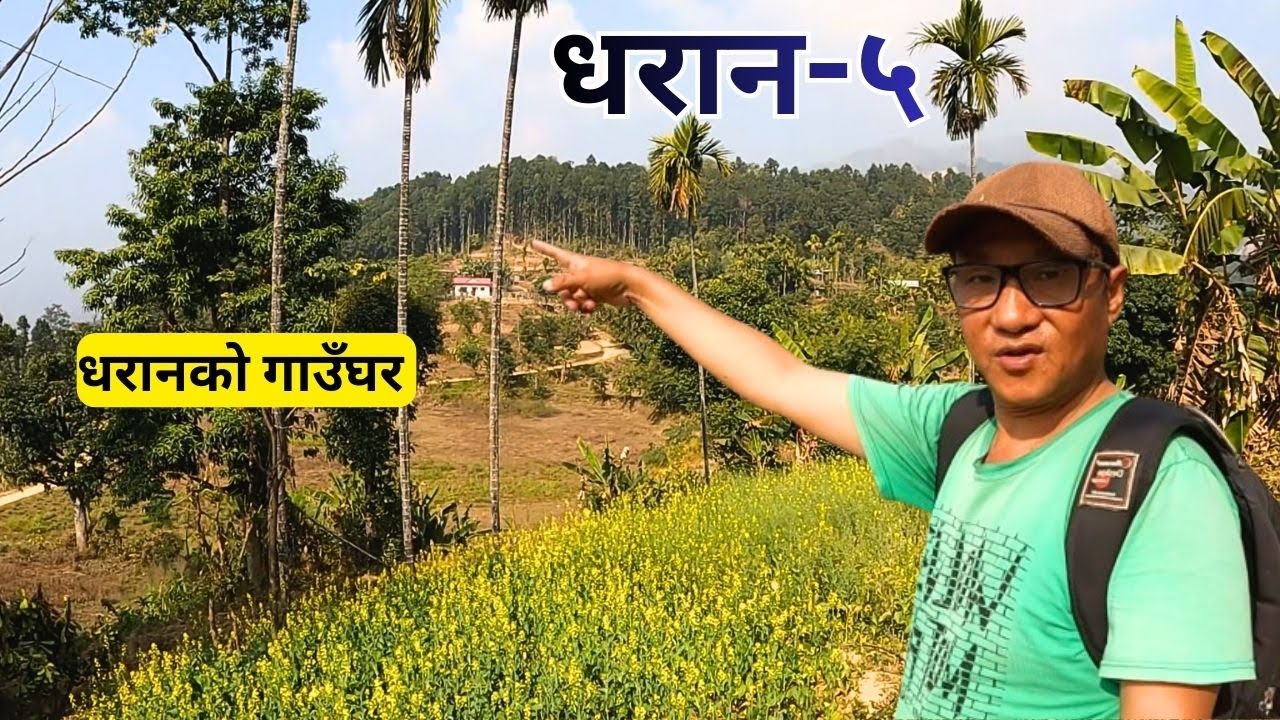 निशाने गाउँ, जोरायेल गाउँ धरान -५ // Nisane Village Vlog ,Farming, Culture & Unity