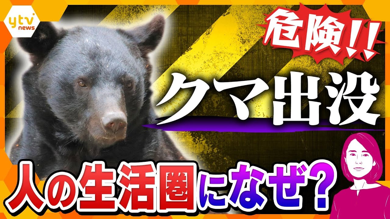 【イブスキ解説】クマ出没注意！　関西でも急増する“アーバンベア”の脅威　人間を怖がらないクマの実態と身を守る方法とは？