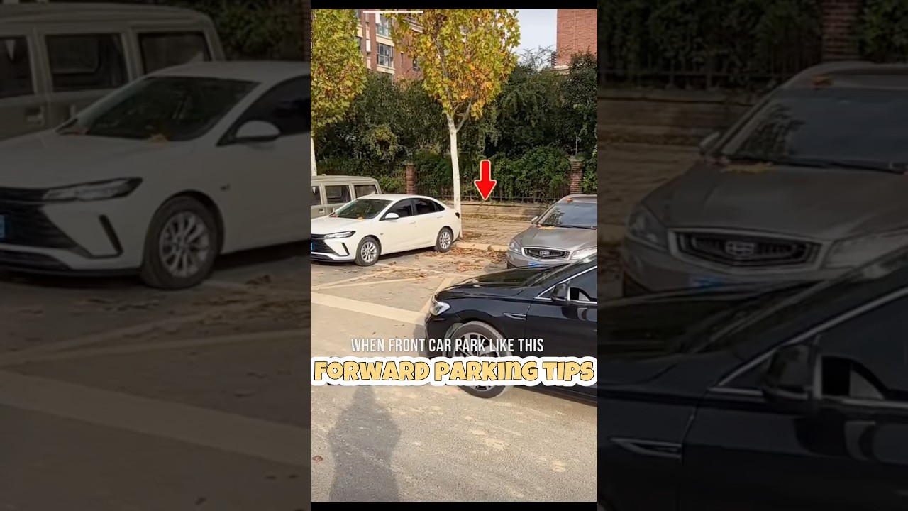 With this trick you can park even when no space at both side #park #car #automobile #duet