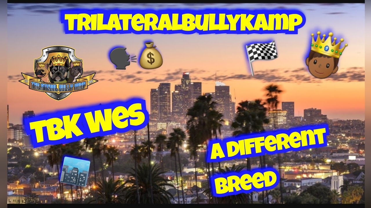 Who is TBK Wes (A Hustlers Story) Vlog #26 🙏🏾👑