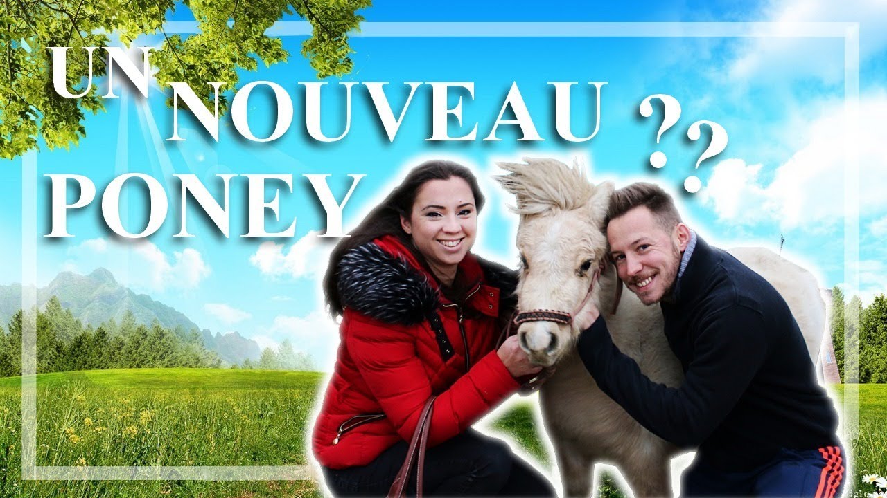 [ VLOG ] - Un nouveau poney ?