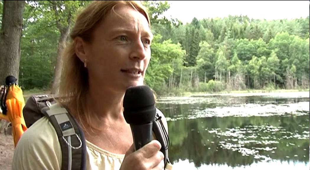 Randonnée entre les étangs et les châteaux du Pays de Bitche
