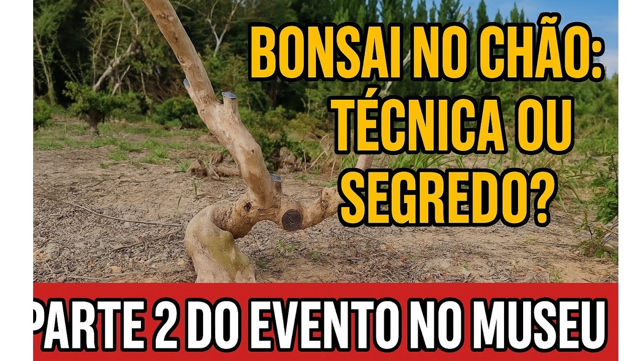 Bonsai no Chão: Técnica ou Segredo? | Parte 2 do Evento no Museu