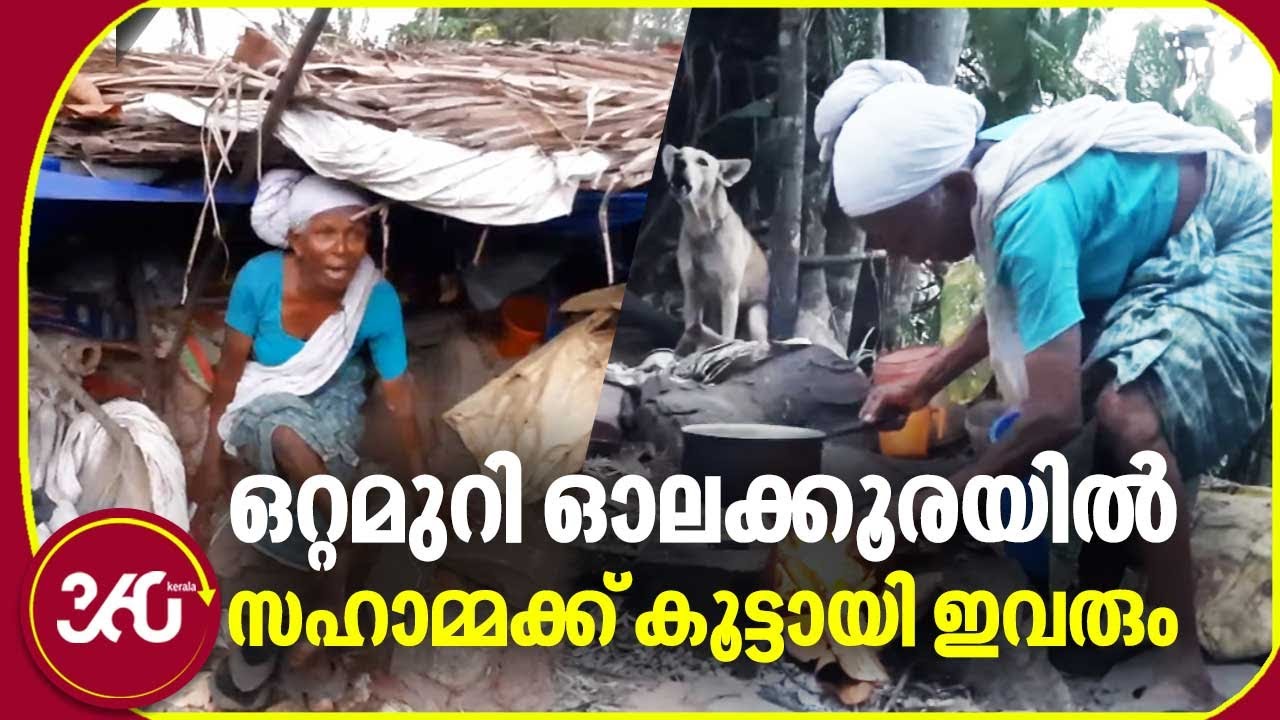 ഇടിഞ്ഞു പൊളിഞ്ഞ ഓലക്കൂരയില്&zwj; ഈ മുത്തശ്ശി തനിച്ചാണ് | Homeless Woman | Kodumon | Pathanamthitta