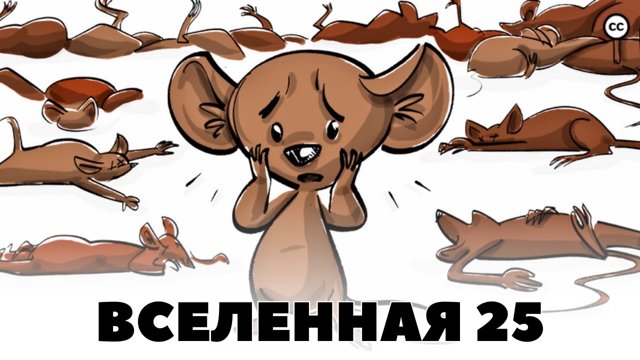 Вселенная 25
