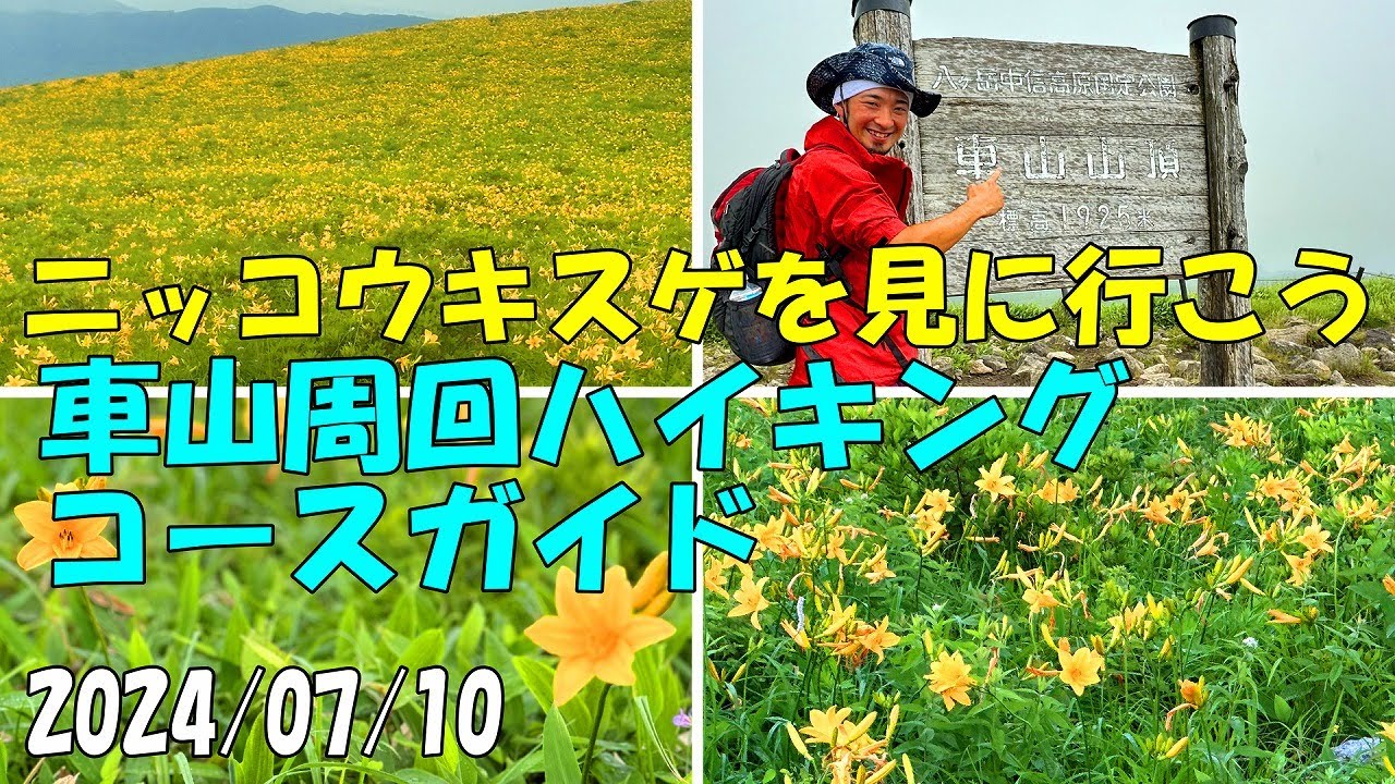 ニッコウキスゲを見に行こう 車山高原周回ハイキング コースガイド 霧ヶ峰 高層湿原 初心者 ハイキング トレッキング 登山 散歩 木道散策 Nagano Japan 2024/7/10【GoPro】