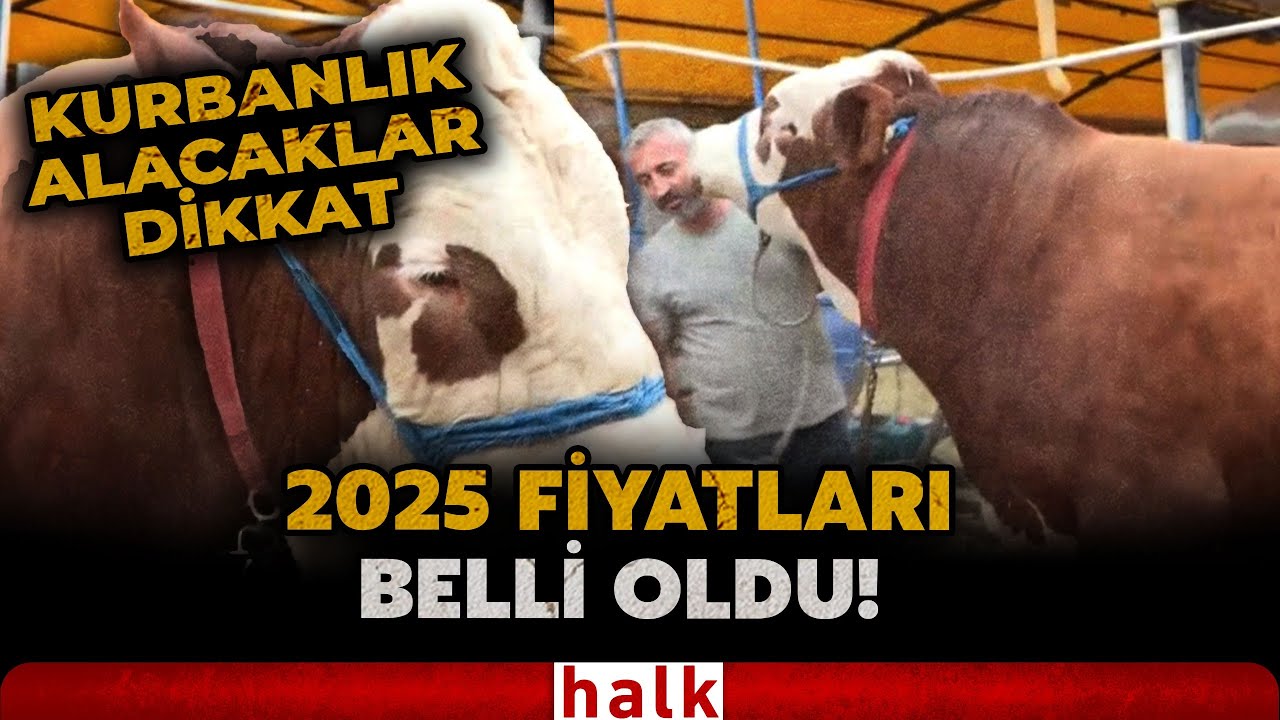 2025 KURBANLIK FİYATLARI BELLİ OLDU! İşte büyükbaş ve küçükbaş güncel hayvan fiyatları...