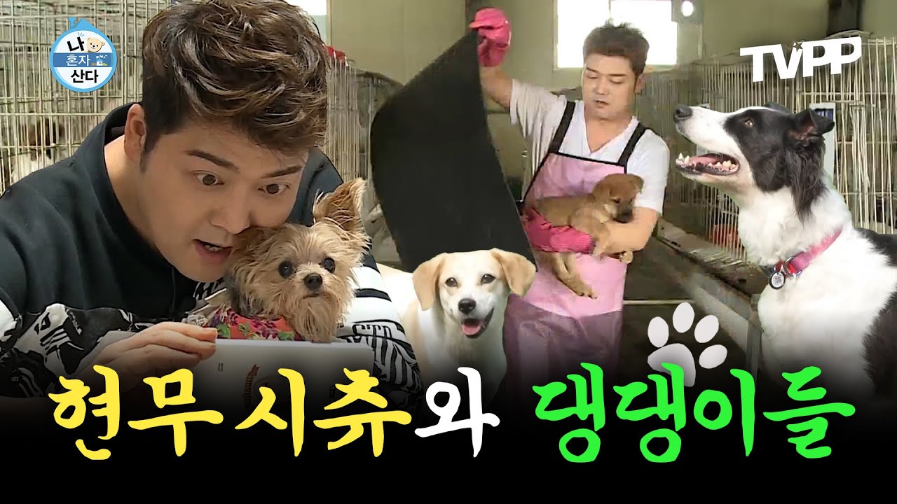 【#TVPP】 강아지에 진심인 남자 현무 시츄🐾 그가 N년간 유기견 봉사를 할 수 있었던 이유 | 나혼자산다 | TVPP | MBC 220805 방송 외