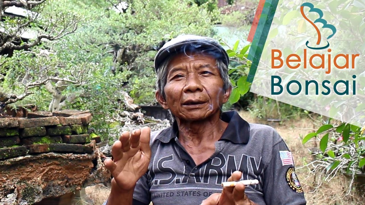 Bincang Bonsai Bersama Pak Peno, Raja Bonsai Santigi Jogja