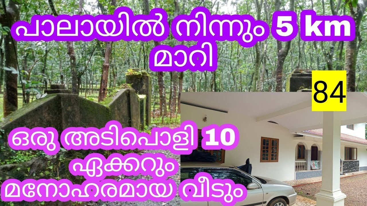 10 acre land and 4 bedroom house for sale in pala area 84