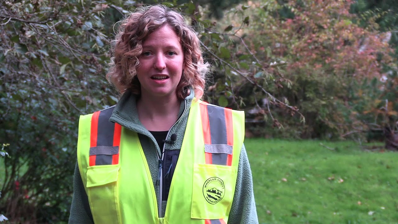 Stormwater - Pond Maintenance