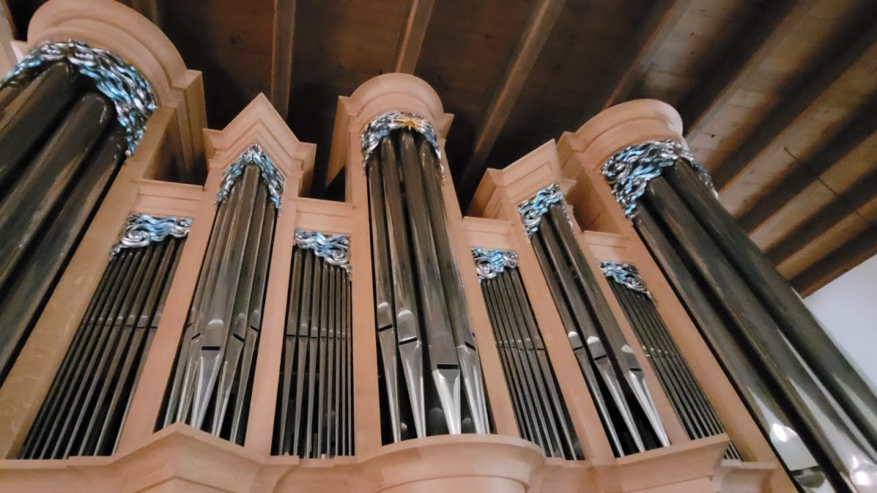 Carol of the Bells  - Carol von Mykola Leontowytsch