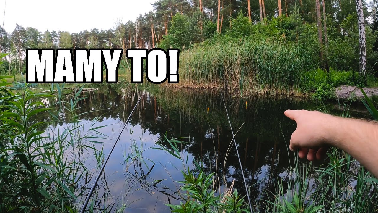 Leśne Bagno Pokazało Co Ma Najlepsze!