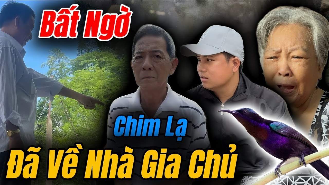 Bất Ngờ, Phát Hiện Chim Lạ Bay Về Nhà Gia Chủ Không Chịu Đi Gì Chuyện Này