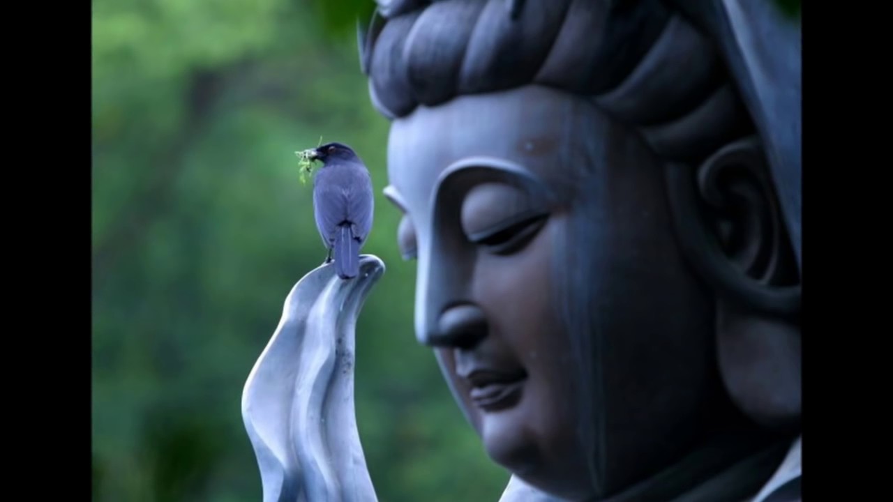 Prajnaparamita hrdaya sutra  Heart sutra  El sutra del corazon