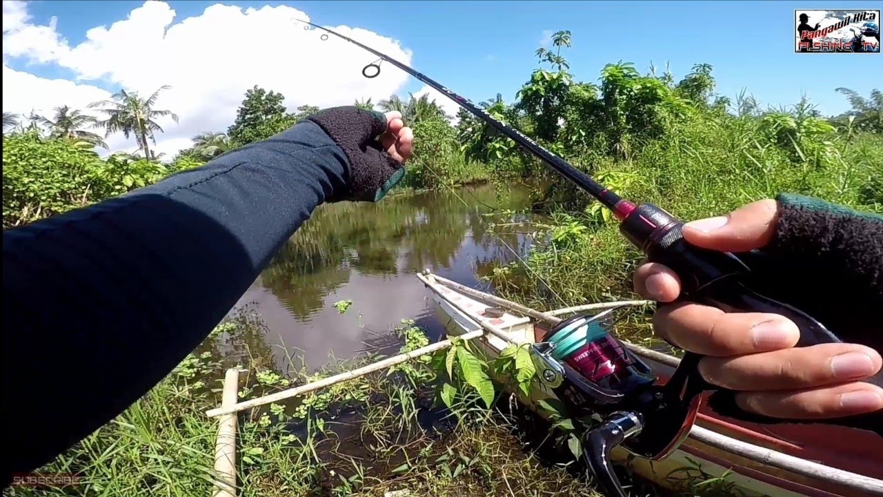 DAIWA SWEEPFIRE 1500s x ROLL FISH SC C POWER 702 ML | SNAKEHEAD HUNTING | FISHING VLOG EP 23