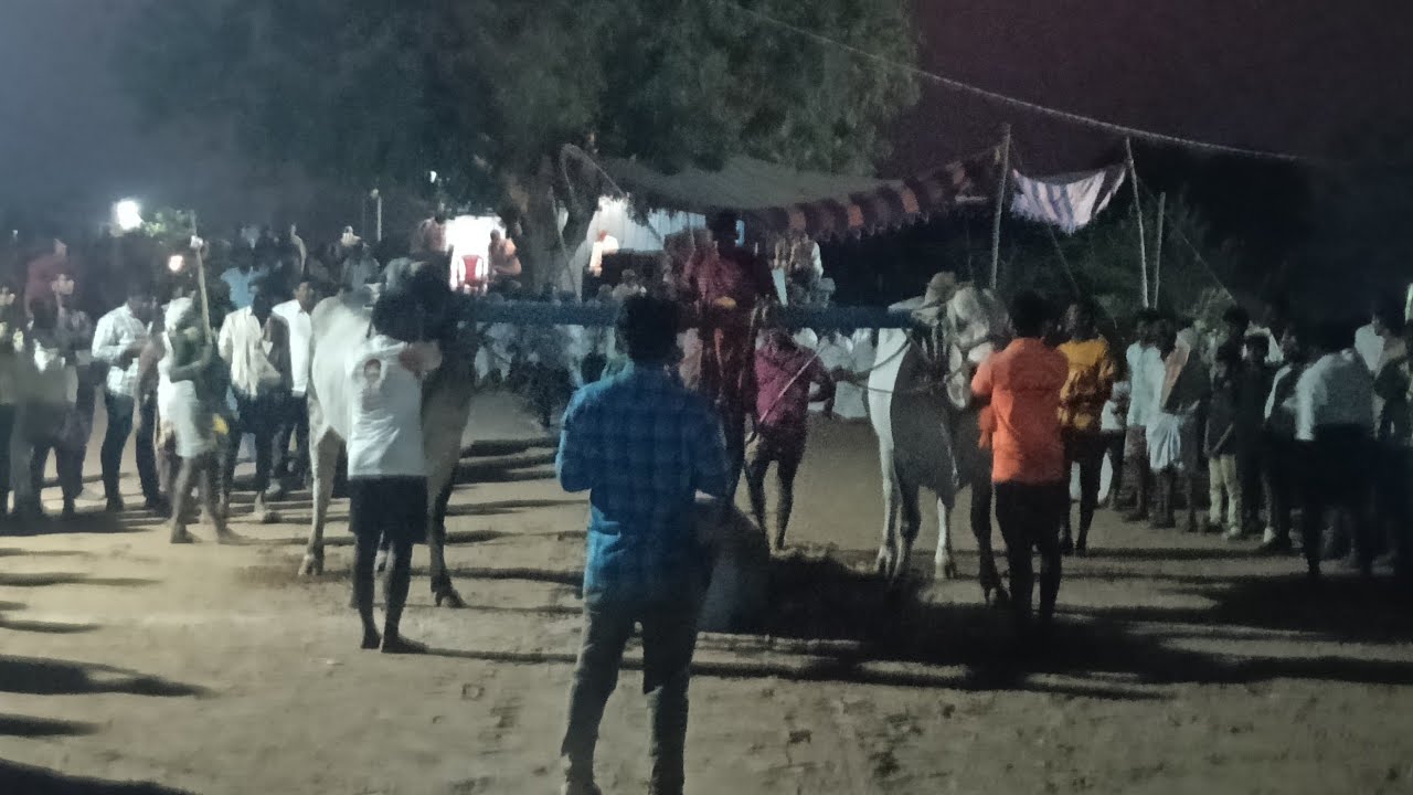 🚩17/2/2026 పెట్నికోట న్యూ కేటగిరి 10 జత G అనసూయమ్మ గారు నాగసముద్రం అనంతపురం జిల్లా