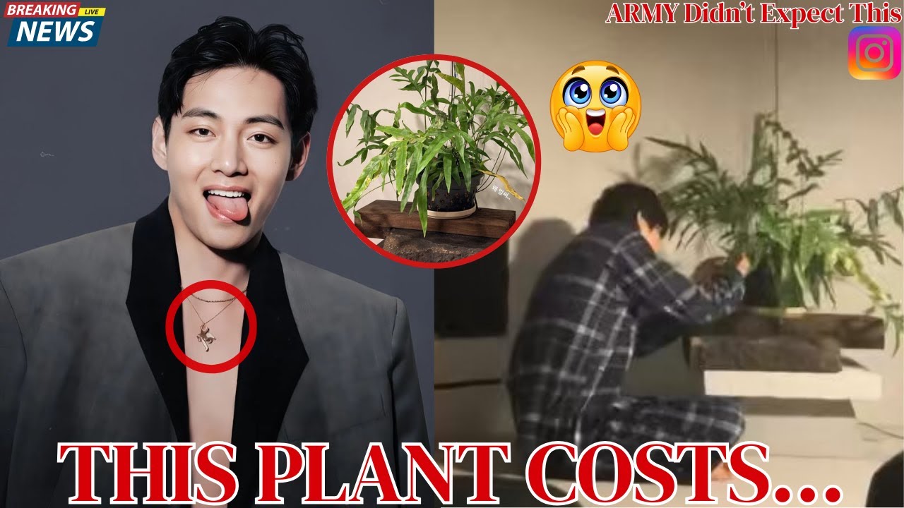 ARMY Worldwide Shocked: The Real Price of Kim Taehyung Plant Revealed