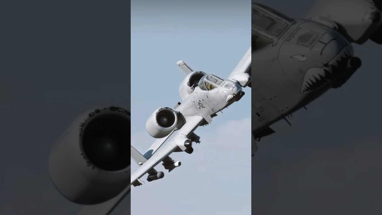 A-10 Warthog | An Aircraft Masterpiece, Beautiful But Deadly - 🇺🇸🦅 #a10
