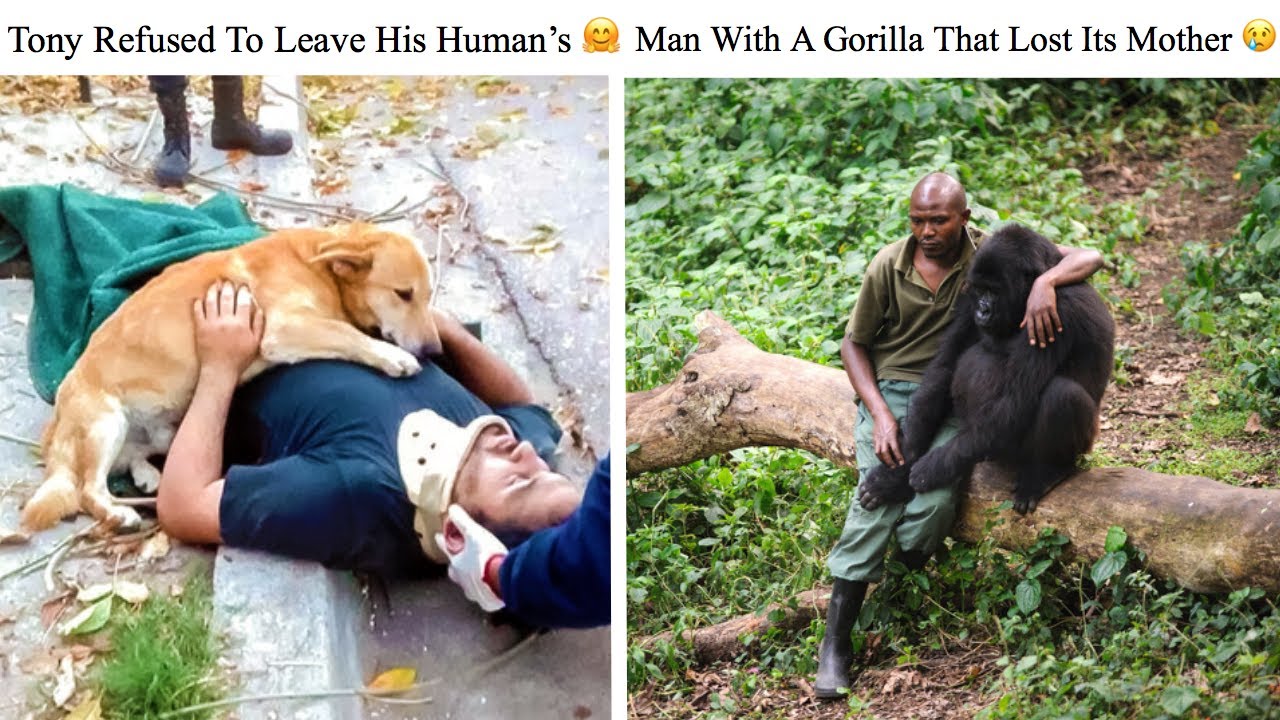 Moving Photos That Can Melt The Coldest Of Hearts